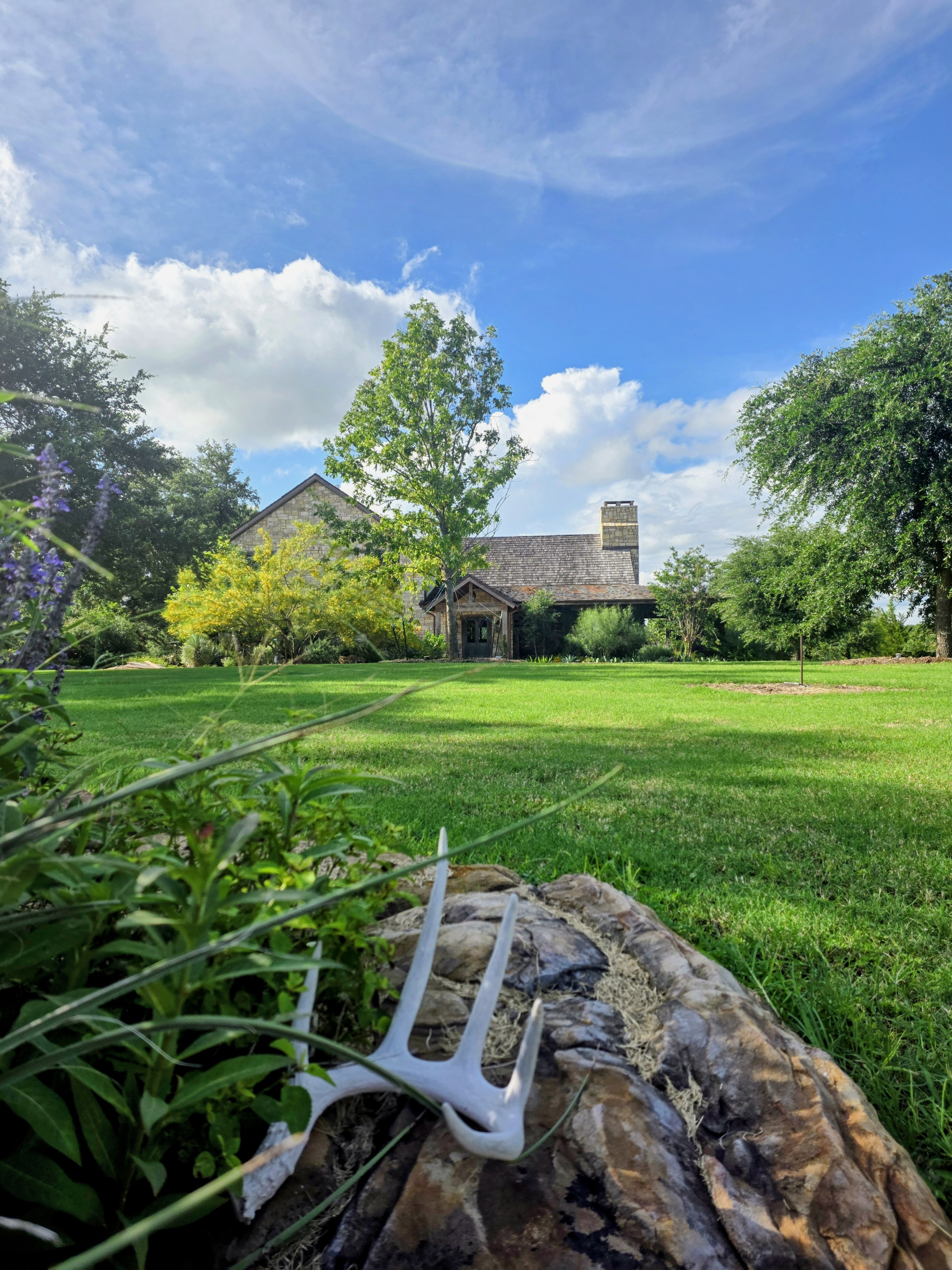 Texas estate home and grounds